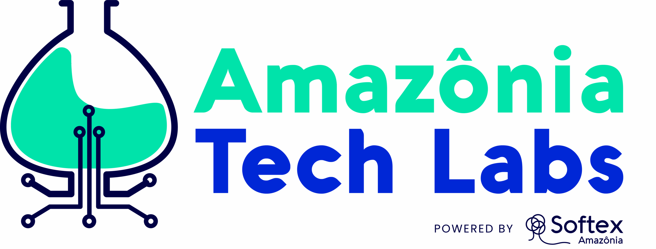 O que é PPEI 8 logo amazonia tech labs scaled